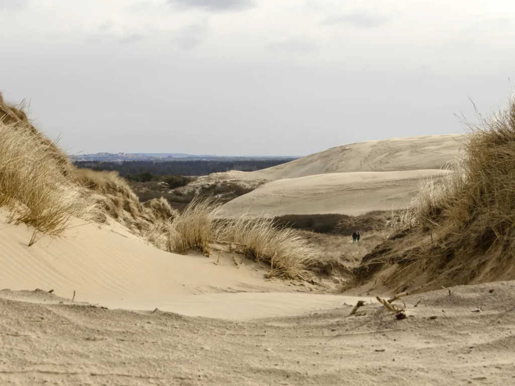 Rubjerg Knude Fyr (7)